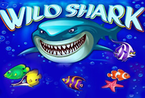 Wild shark thumbnail