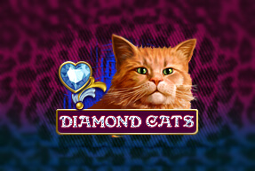 Diamond cats thumbnail